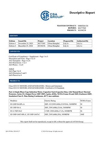 CSA ODP TEFC 80177585 Report